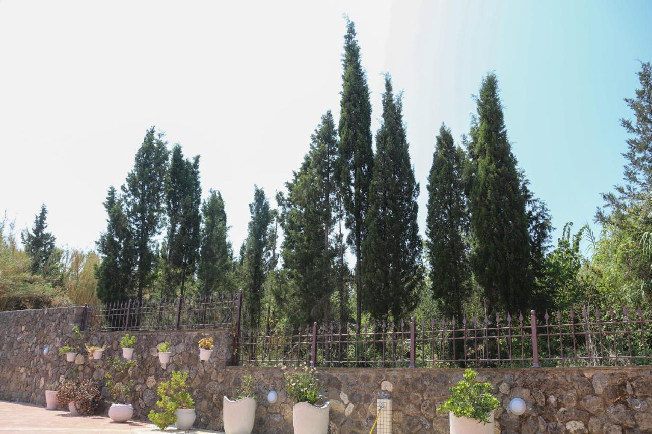 Villa Dada House *