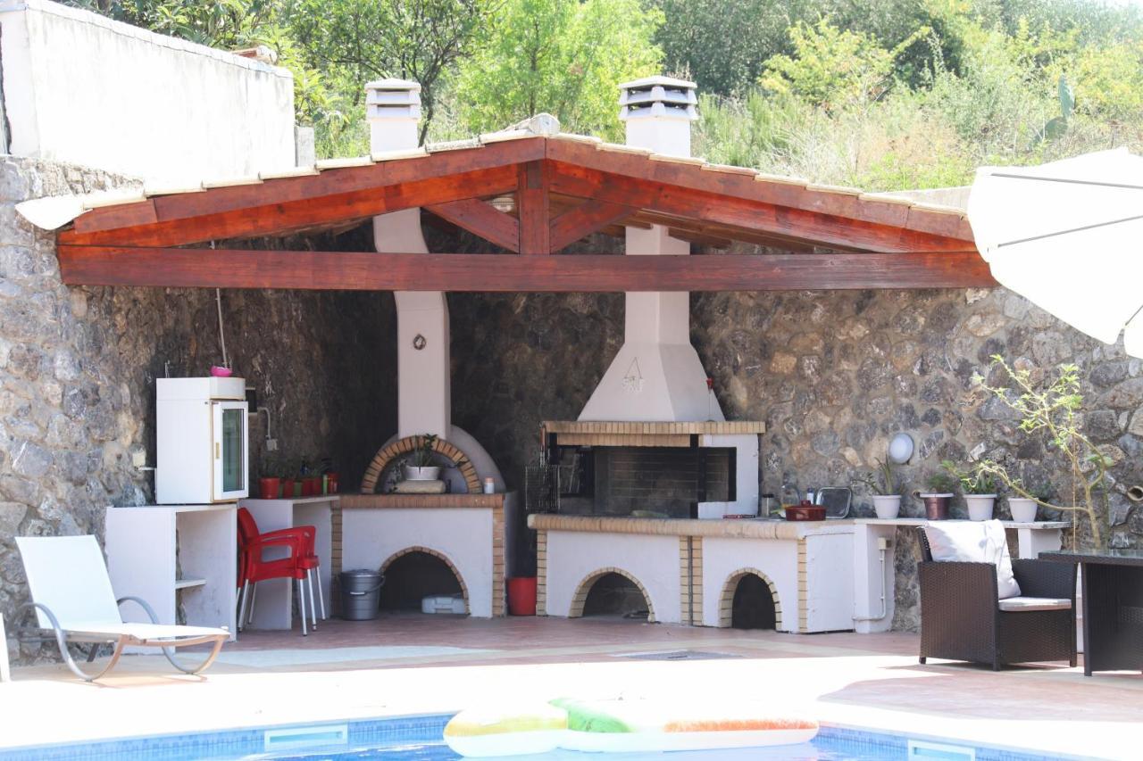 Dada House